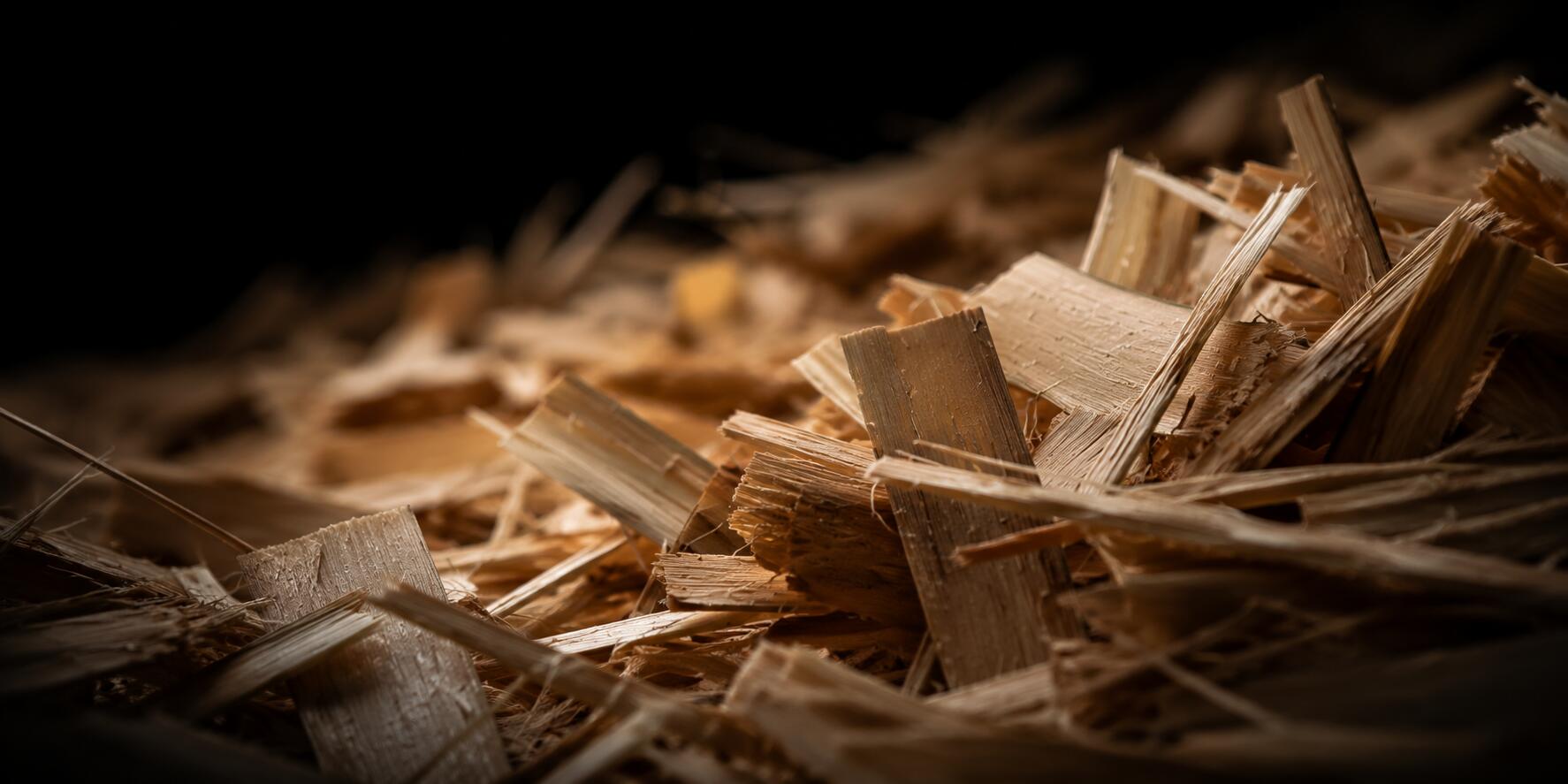 Bamboo strand macro
